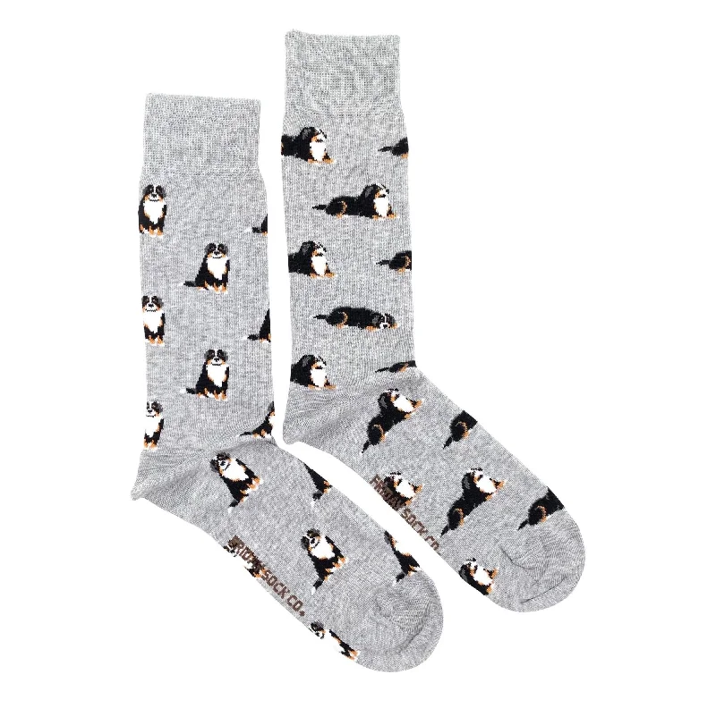 Huge Savings Bernese Mountain Dog Mismatched Socks M