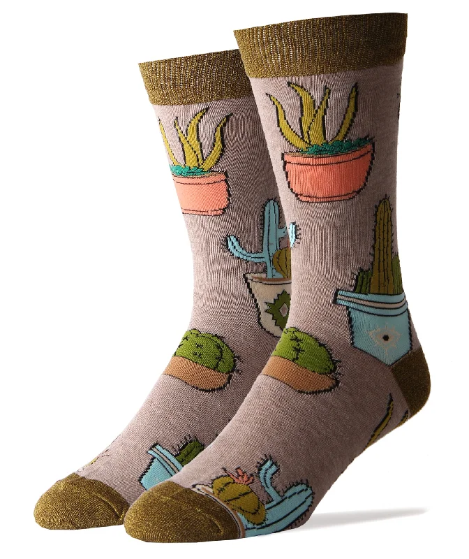 Huge Savings Cactus Hugs