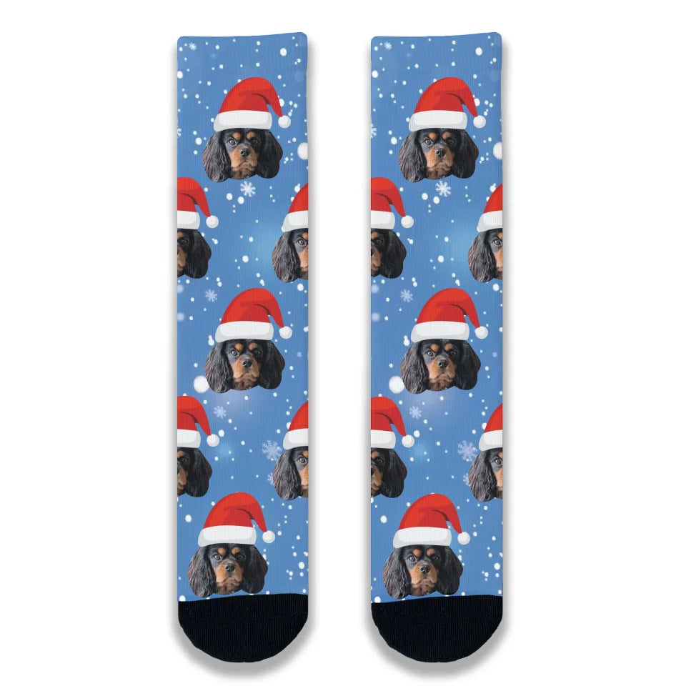 Weekend Discounts to Celebrate Christmas Dog Personalised Socks